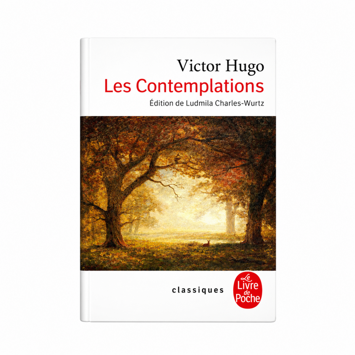 Les contemplations de Victor Hugo